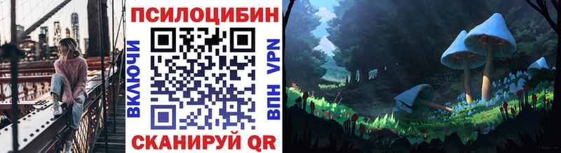 Псилоцибиновые грибы Cubensis  закладки  блэк спрут вход  Тбилисская 
